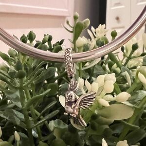 Pandora birds of a feather charm